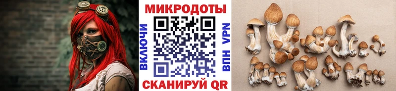 наркота Аксай kraken вход Галлюциногенные грибы Psilocybe
